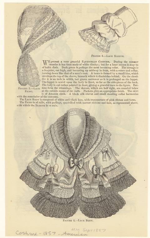 Image ID 802646

