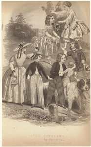 Image ID 802650