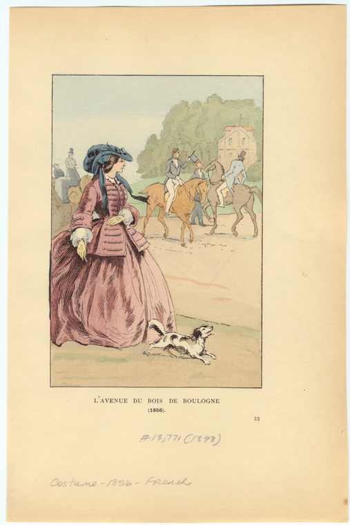 Image ID 802786
