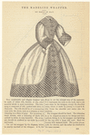 Image ID 802840