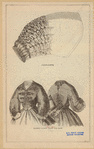 Image ID 802896