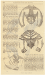 Image ID 802904