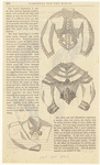Image ID 802951