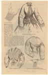Image ID 802955