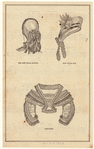 Image ID 802980