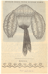 Image ID 803005