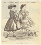 Image ID 803053