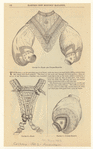 Image ID 803236
