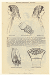 Image ID 803237