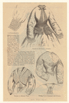 Image ID 803269