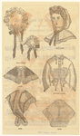 Image ID 803368