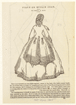Image ID 803393