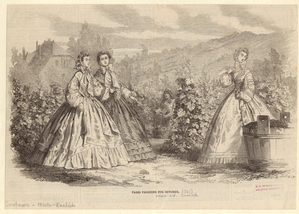 Image ID 803457
