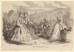 Image ID 803457