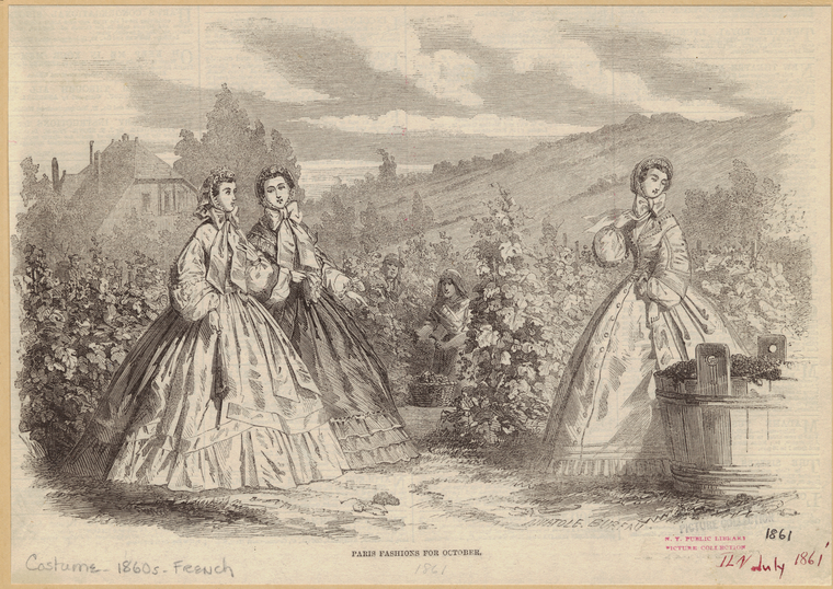 Image ID 803591
