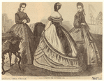 Image ID 803646