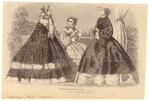 Image ID 803649