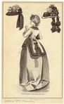 Image ID 803794