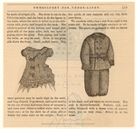 Image ID 803802