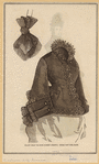 Image ID 803892