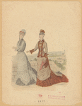 Image ID 804073