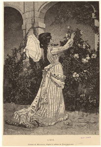 Image ID 804116