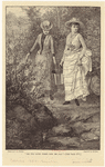 Image ID 804429