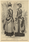 Image ID 804556
