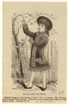 Image ID 804588