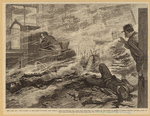 Image ID 804798