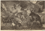 Image ID 804828