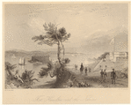Image ID 804896