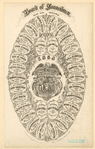 Image ID 804924