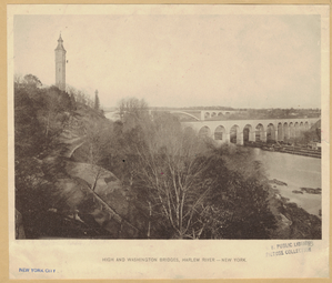 Image ID 804955