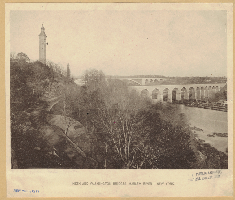 Image ID 804955
