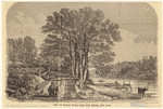 Image ID 804956