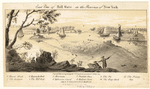 Image ID 804966