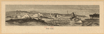Image ID 804969