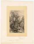 Image ID 804973