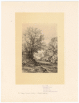 Image ID 804974