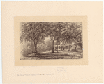 Image ID 804996
