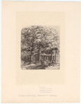 Image ID 805015