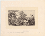 Image ID 805018
