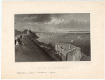 Image ID 805021