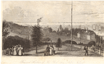 Image ID 805031
