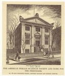 Image ID 805128