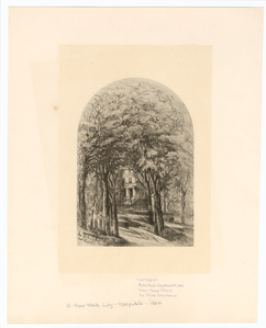 Image ID 805177