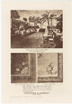 Image ID 805276