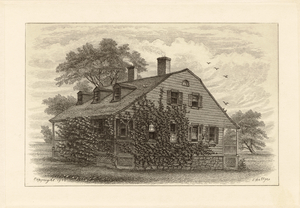 Image ID 805319
