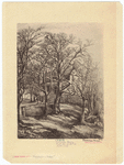Image ID 805359